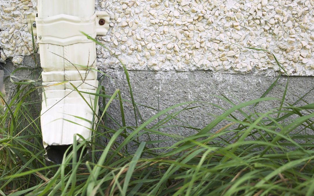 Down The Drain – Tips On Saving Water