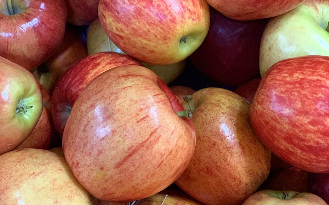Fall Bounty – From The Farmers Market