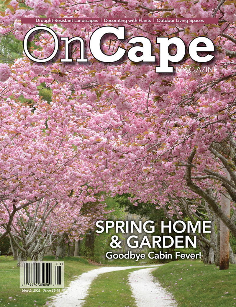 Spring Home 2021 cover sm