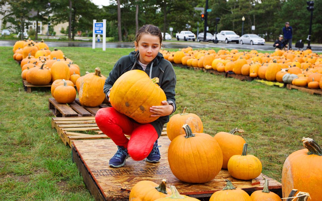 Fall-Themed Ventures Propel Mashpee Church