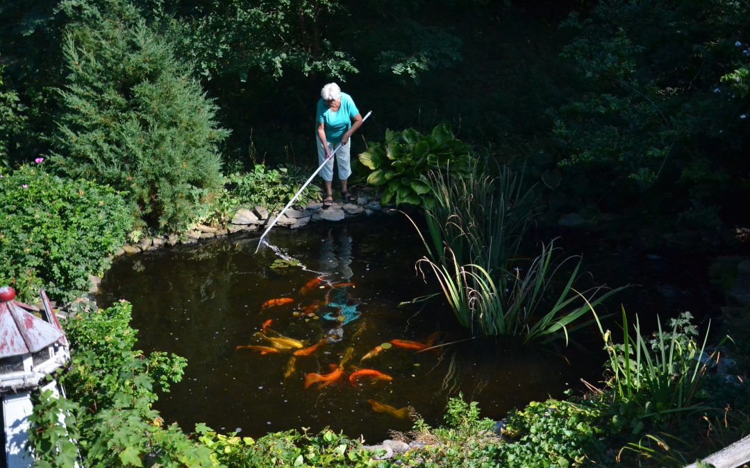 Drawn to Water – Enjoying Water Elements Outside and Inside our Homes