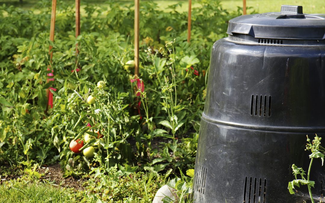 Composting – Turn Your Waste Into ‘Gardener’s Gold’