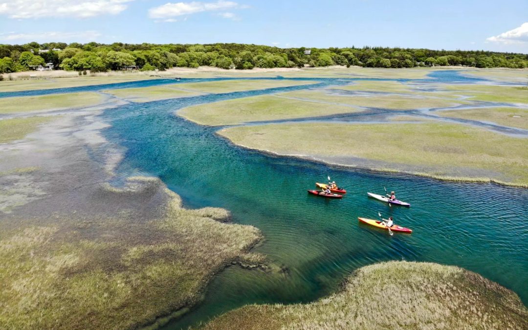 Exploring the Cape  by Land, Sea and Air