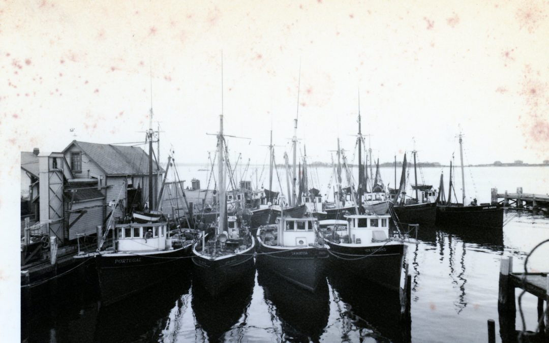 Commercial Fishing In Woods Hole