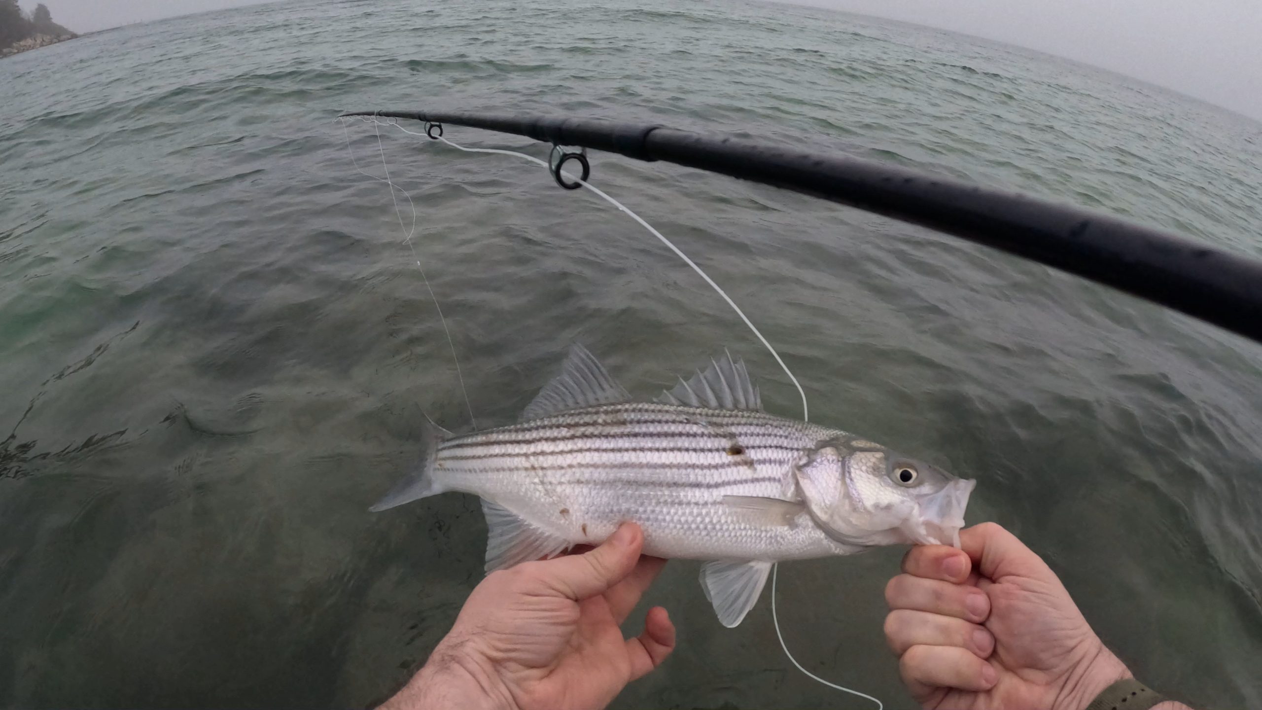 So, You Want To Go Fishing? - A few thing to know before wetting a line ...