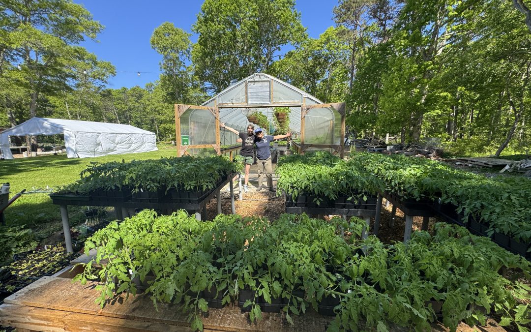 Roots, Real Talk, and Regeneration: The Modern Gardener’s Guide